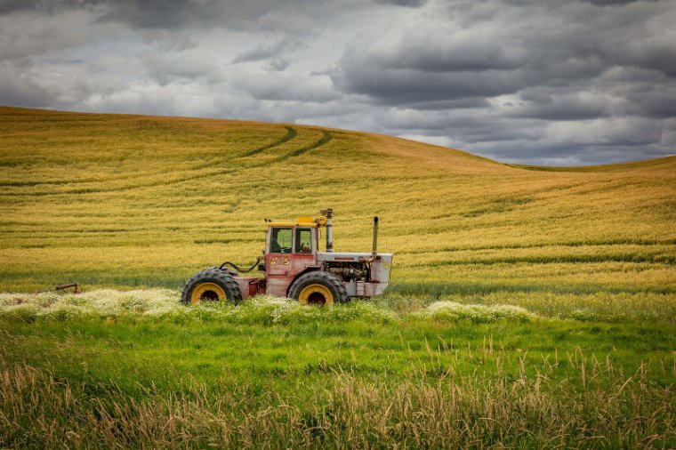 018 Palouse.jpg